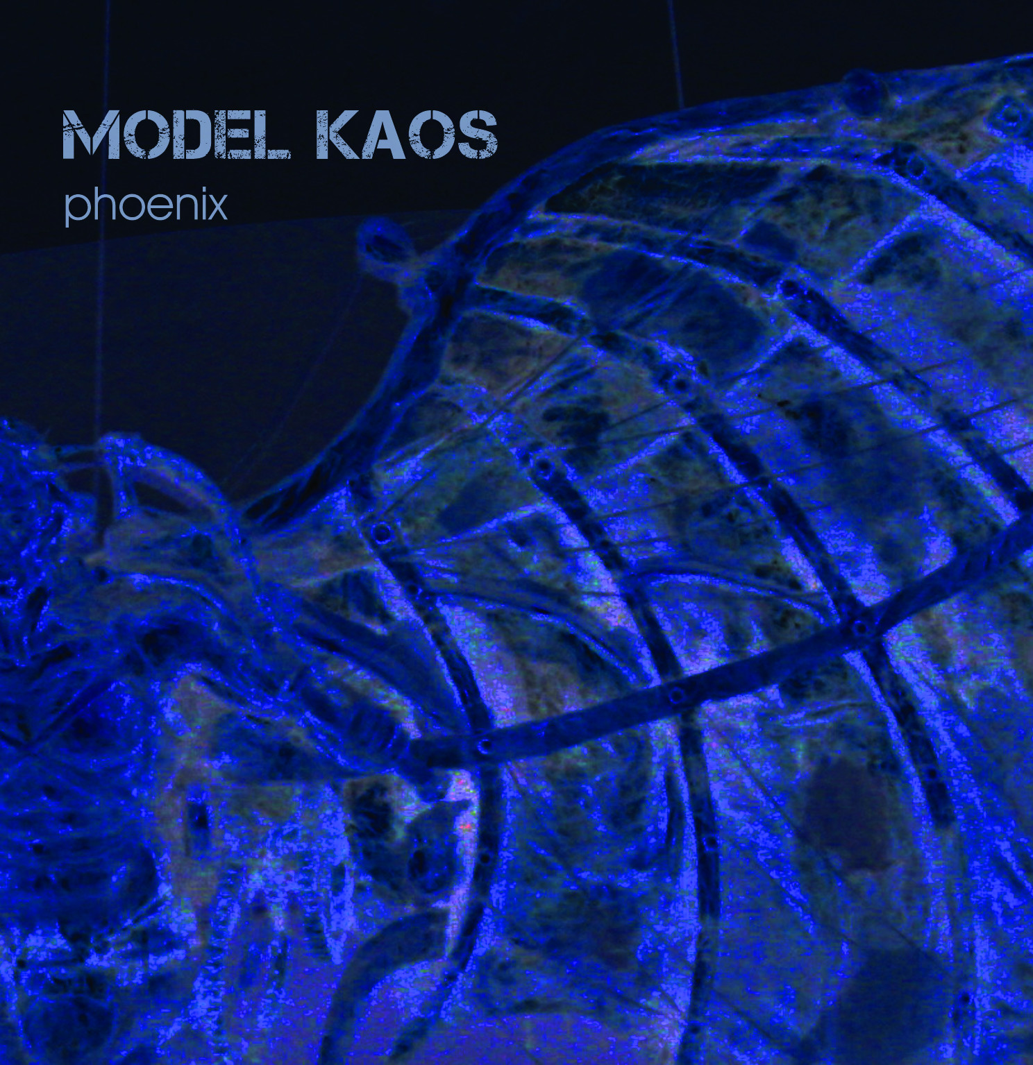 Model Kaos „Phoenix“